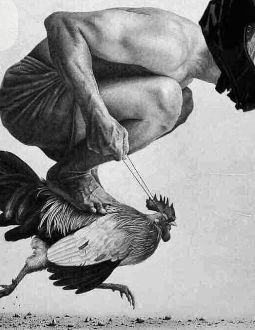 Yarıştığın kendinsen hadi kolay gelsin