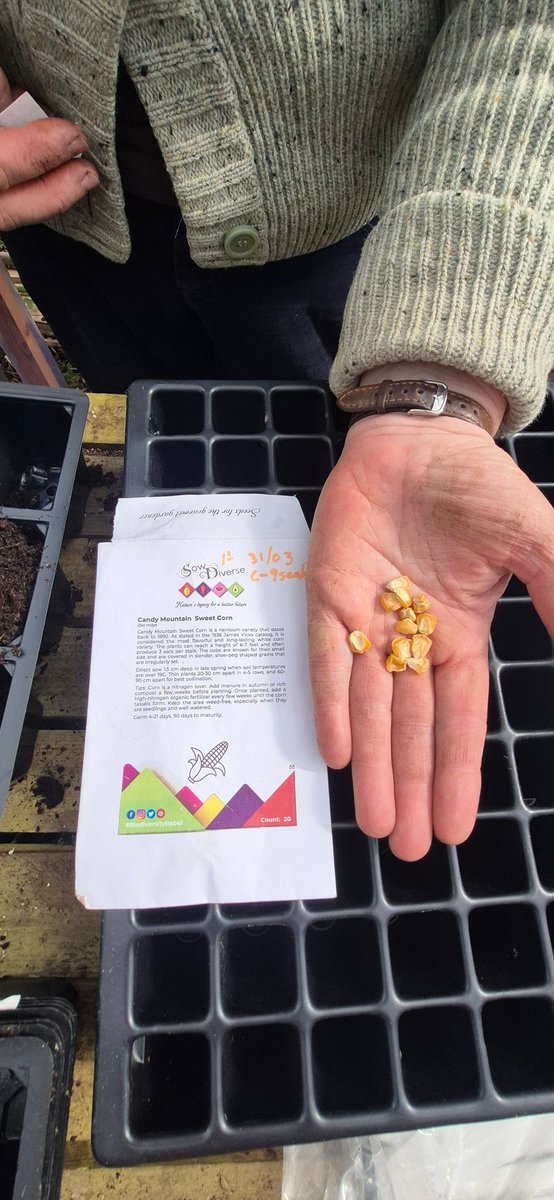 Togher Community Garden tweet media