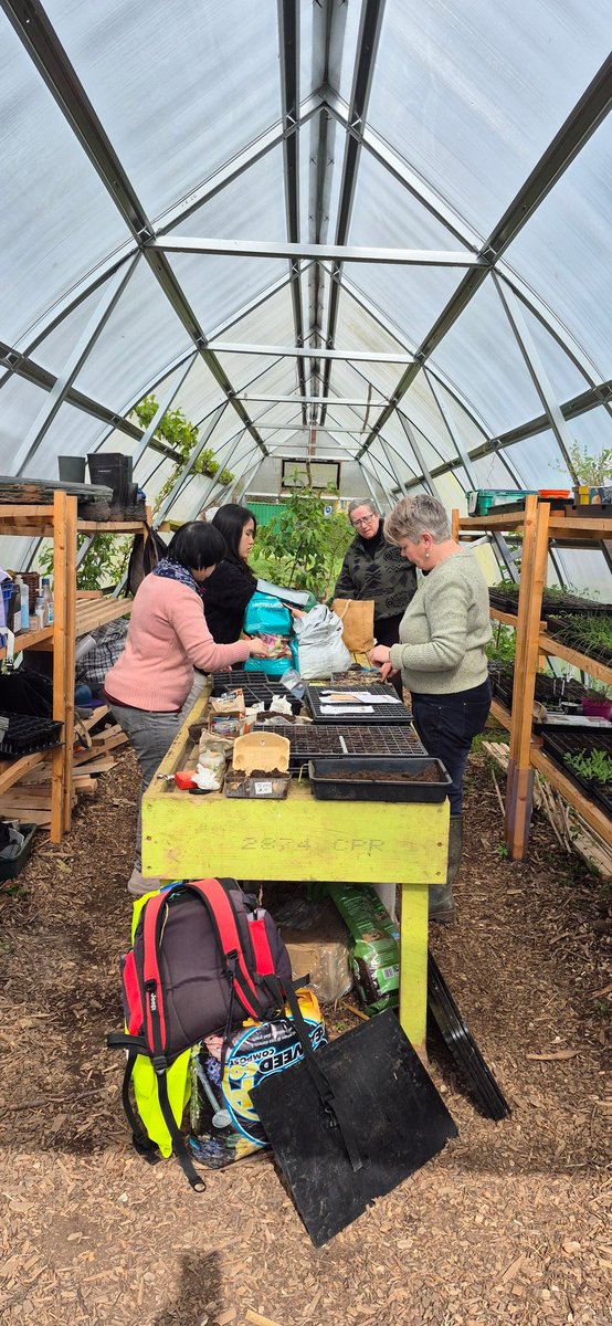 Togher Community Garden tweet media