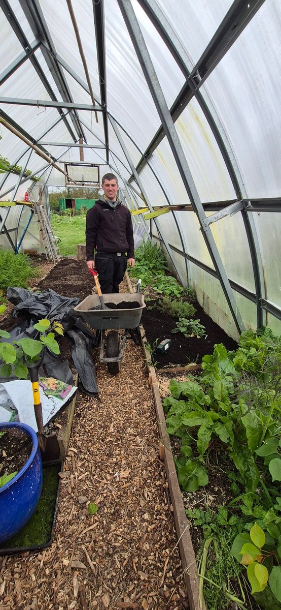 Togher Community Garden tweet media