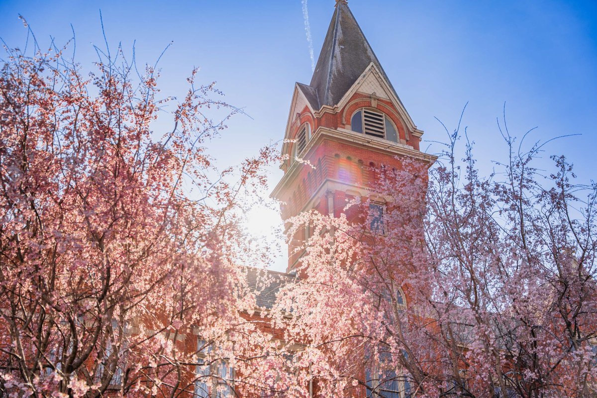 Heidelberg University tweet media