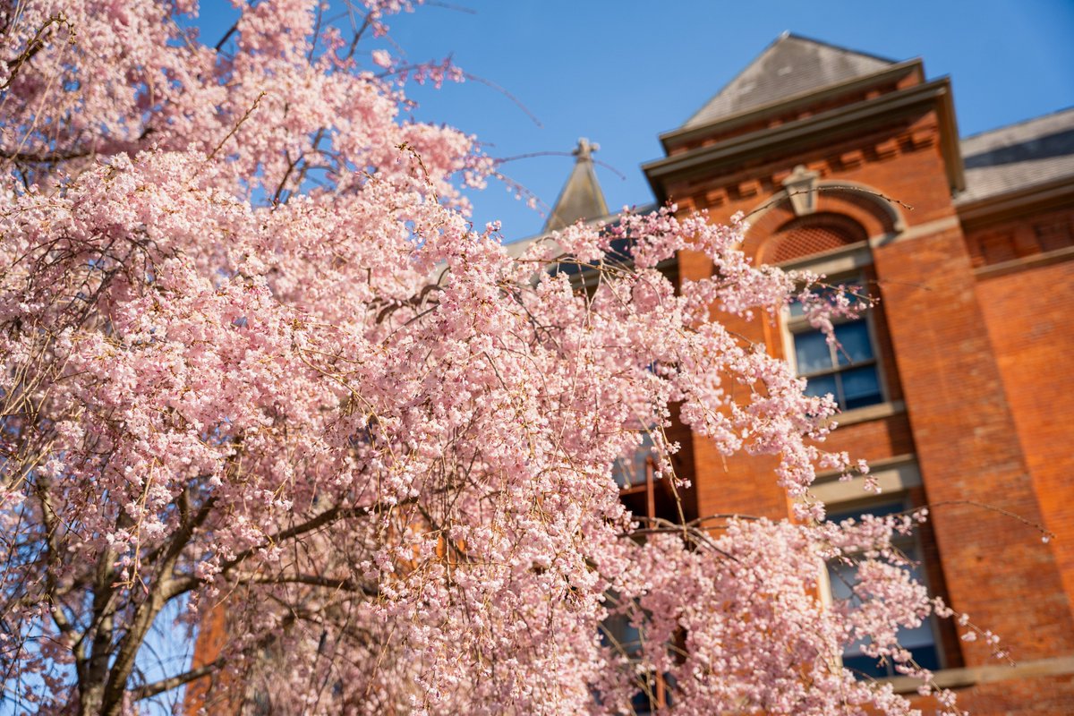 Heidelberg University tweet media