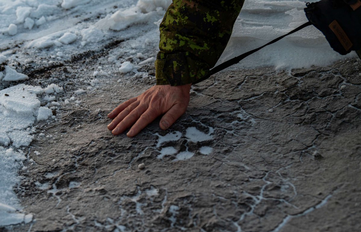 Canadian Army tweet media