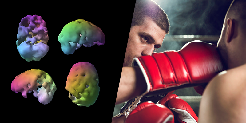 Daniel G. Amen, M.D. tweet media