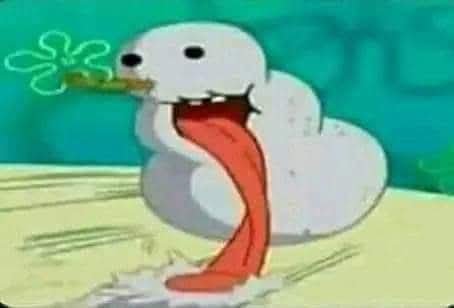 Lizard Wizard 🦎 tweet media