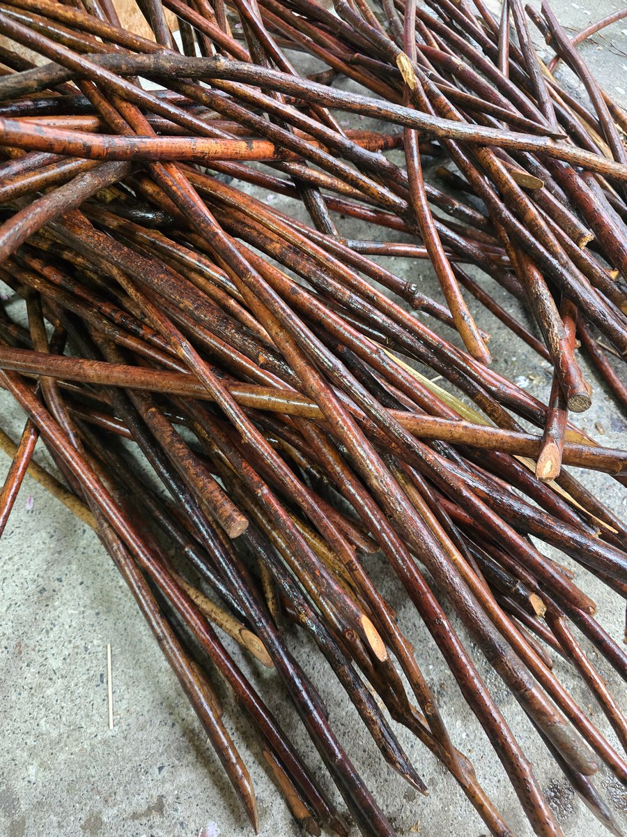 菊水産業株式会社【公式】(国産つまようじ屋) tweet media