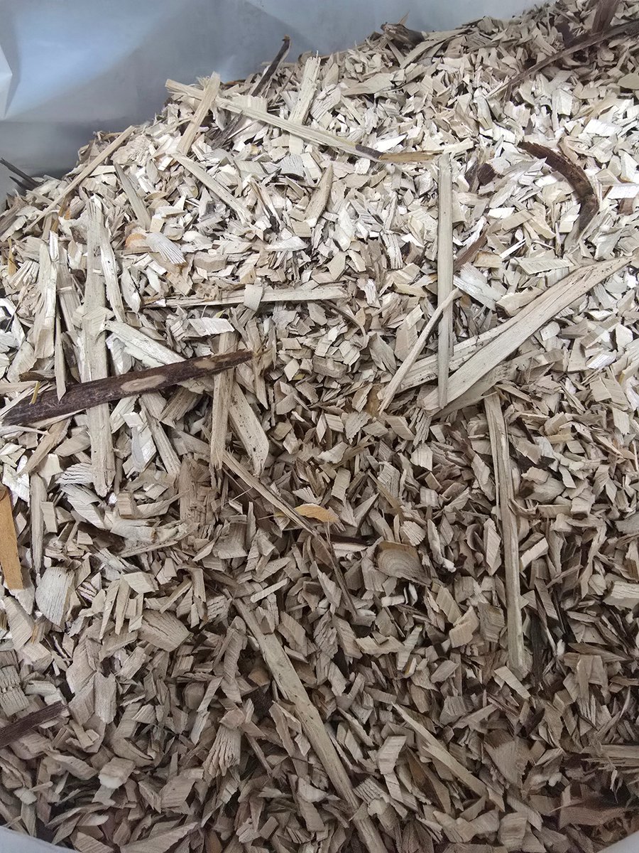 菊水産業株式会社【公式】(国産つまようじ屋) tweet media