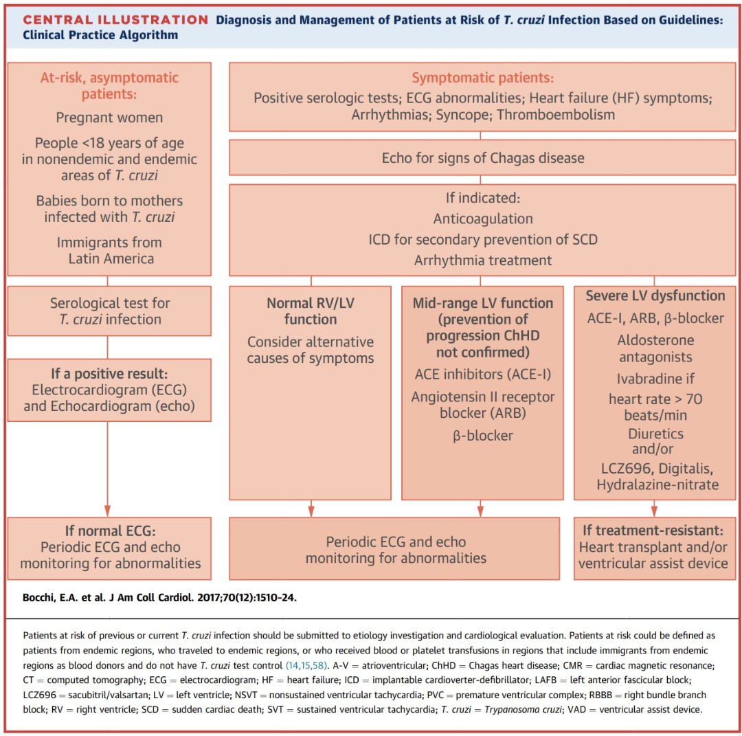 Dr. FEVI🫀🩺 tweet media