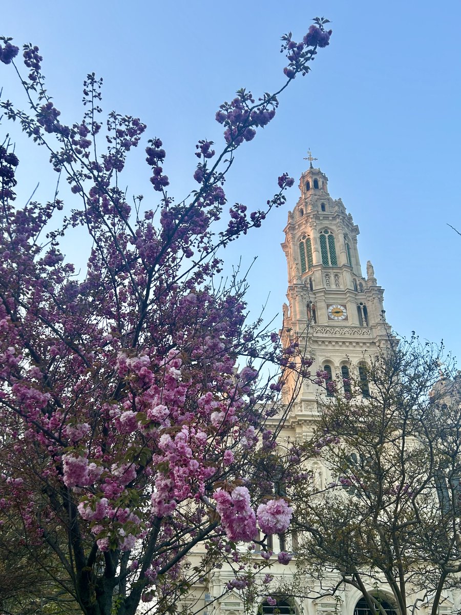 Jorissia tweet media