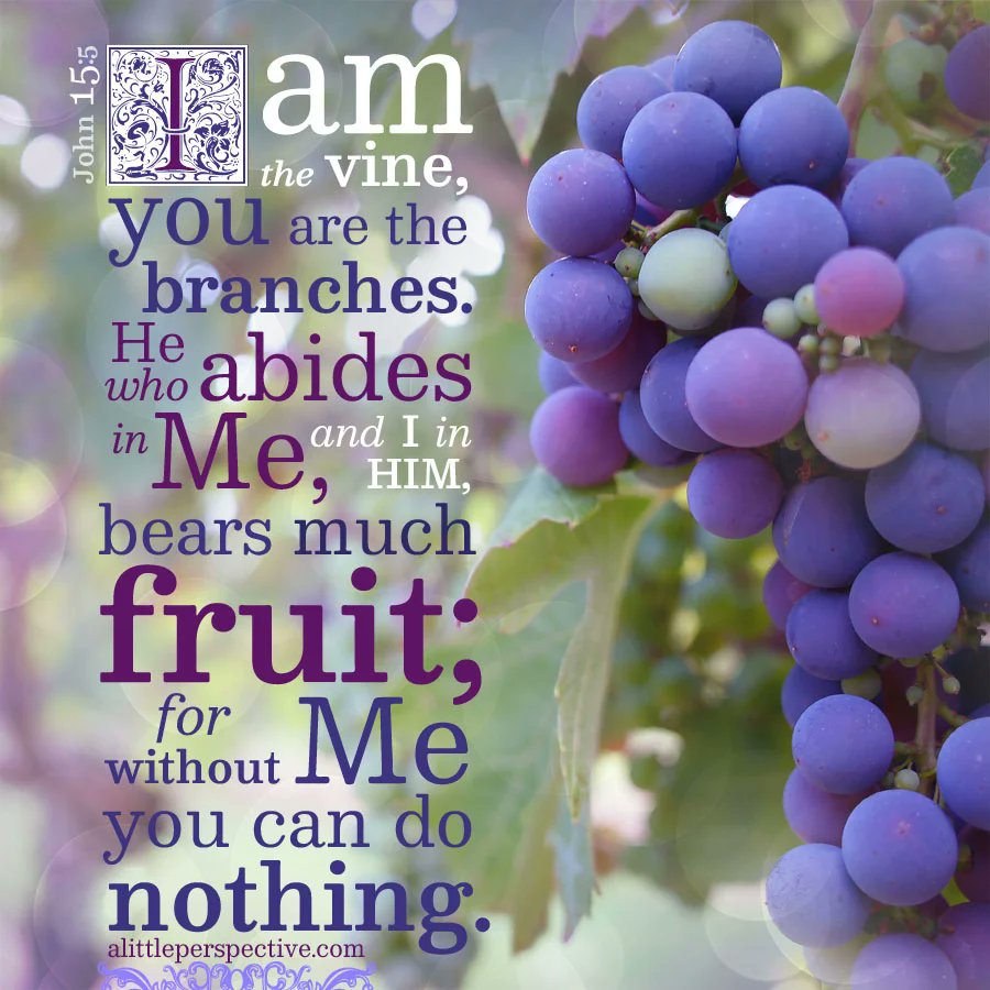 DentonKollar's tweet image. “I am the vine, you are the branches. He who abides in Me, and I in him, bears much fruit; for without Me you can do nothing.”

- John 15:5 (NKJV)

#Jesus #Christ