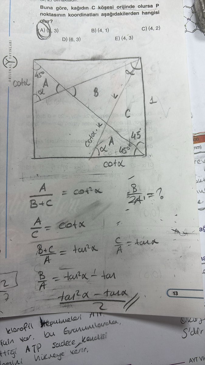 Eren 🇪🇸 tweet media