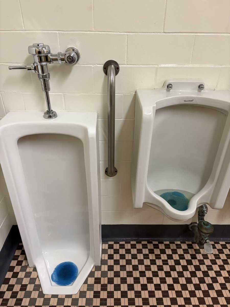 Jeff Shingles tweet media