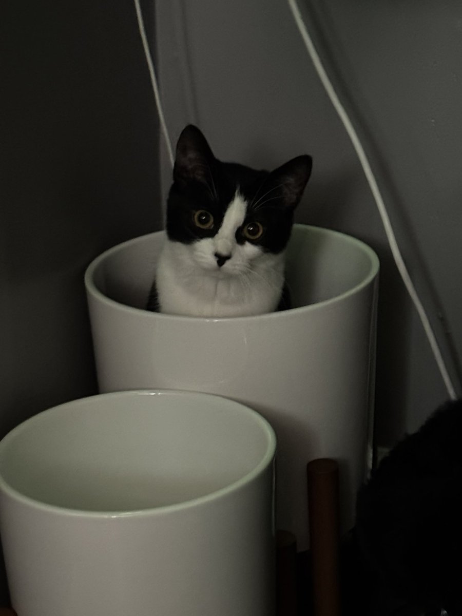 Interval Audio/Cyepher tweet media