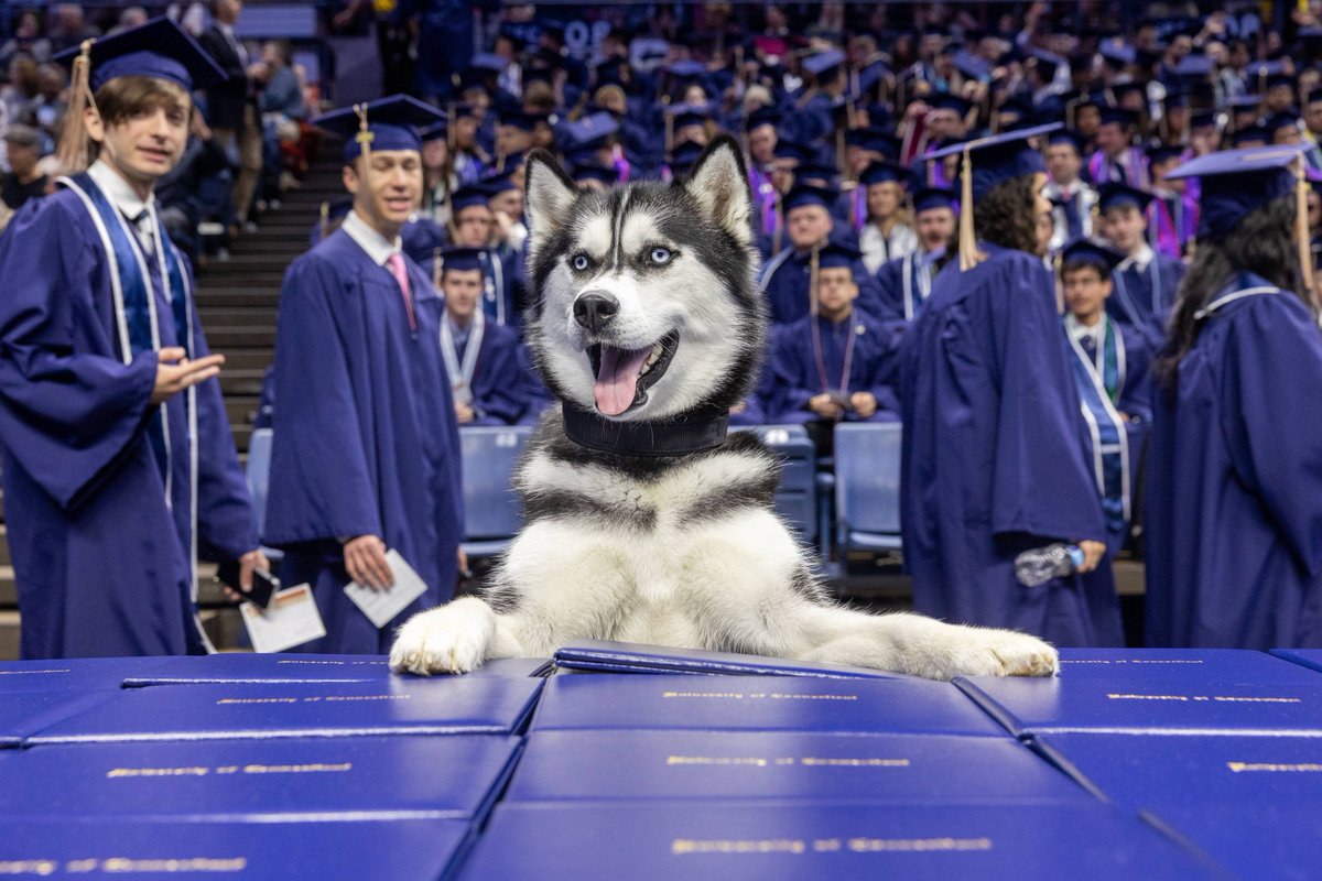 Jonathan the Husky tweet media
