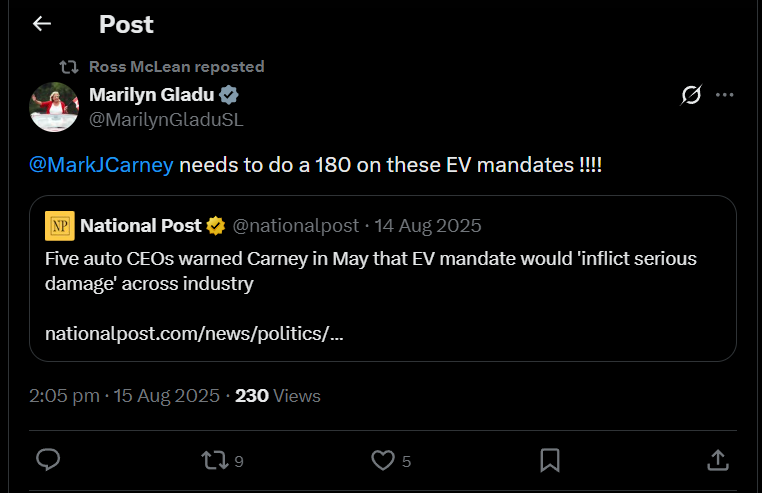 MarkoKat00_🐻🏔️ tweet media