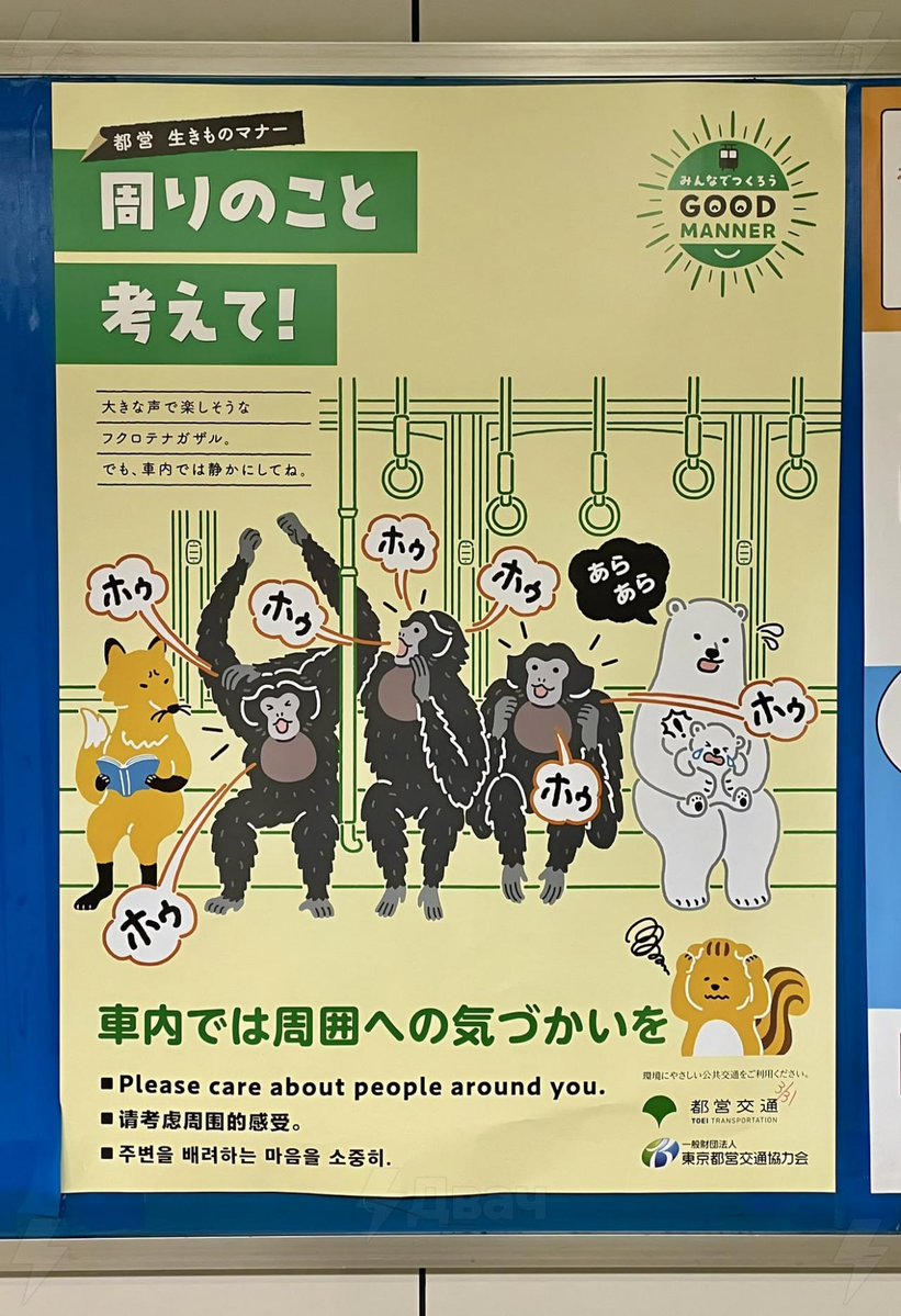 Ibero🛫🌎🛖🎱🤿📚🥭🏝🛶☕️🏺🍸 tweet media