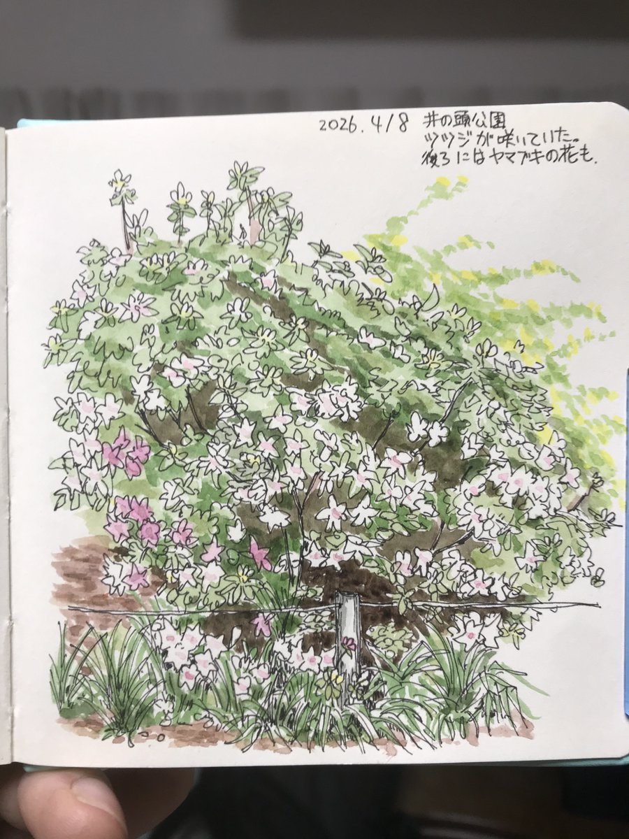 タケノコ32@日曜ゲーマー tweet media