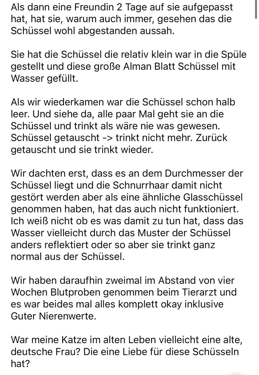 Gute Person. Deine Katze ist einfach deutsch hahahahaha