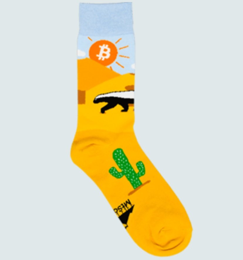 Danny Scott ⚡ tweet media