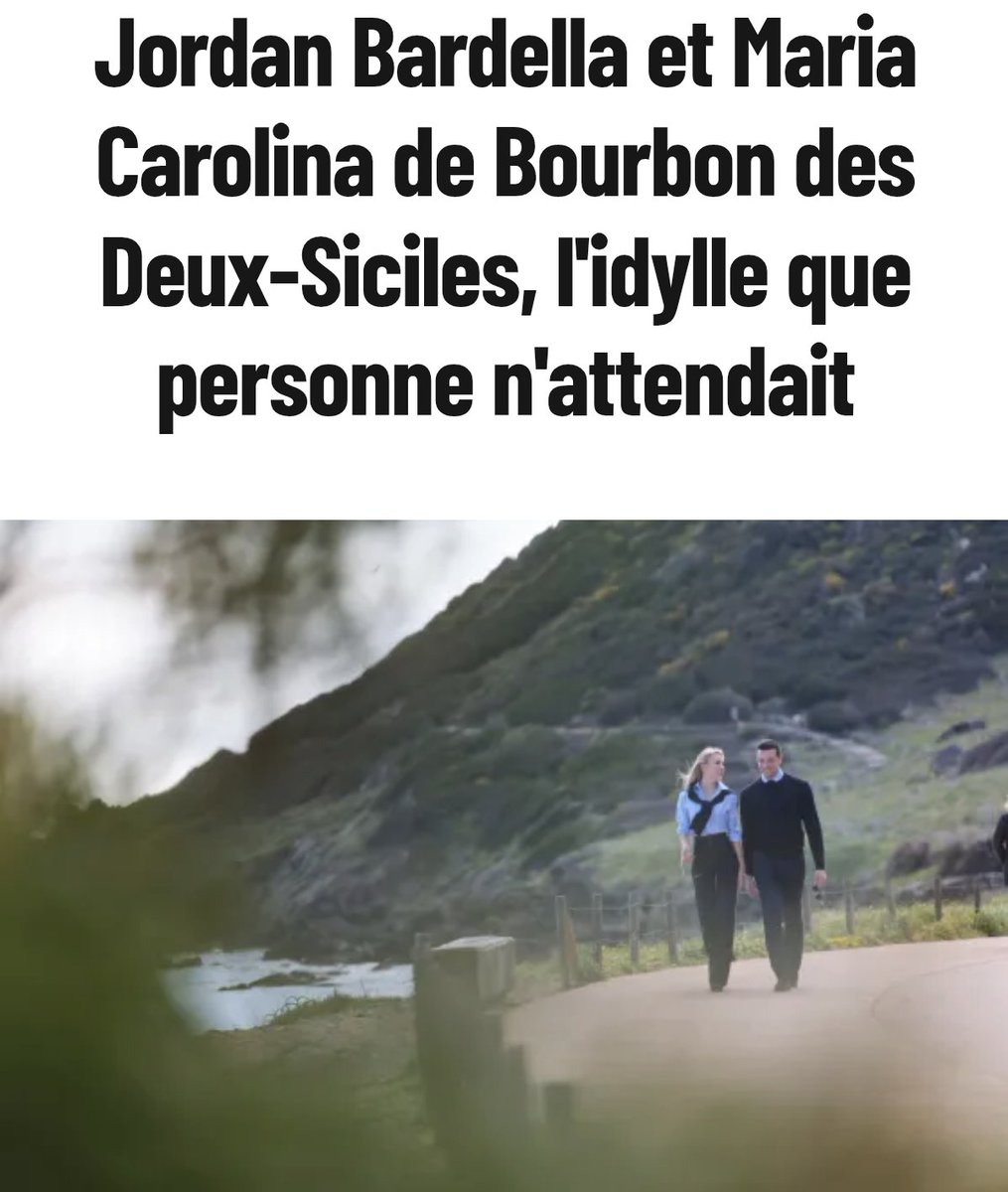 Vivarois 🐝🦉🦊 tweet media