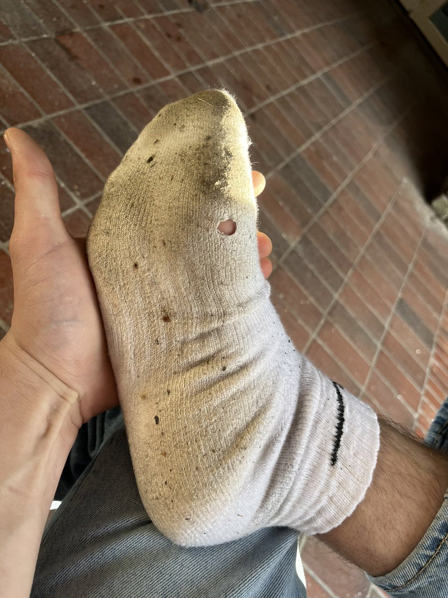 🇳🇱Dutch CashMaster🇳🇱 tweet media