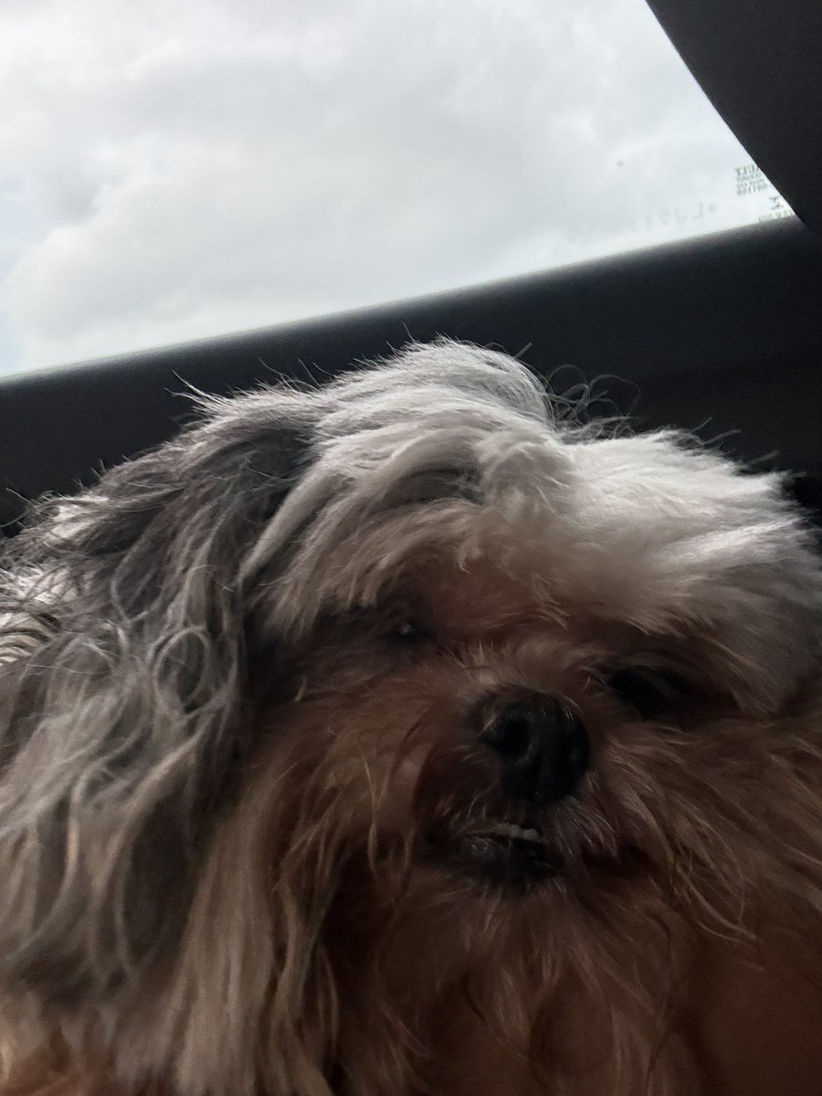 taylor swift NEGA tweet media