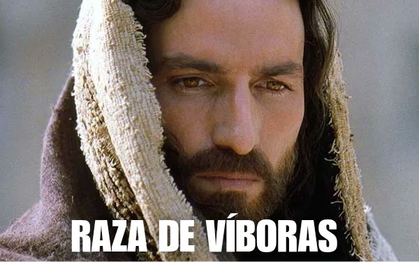 Lillibeth tweet media