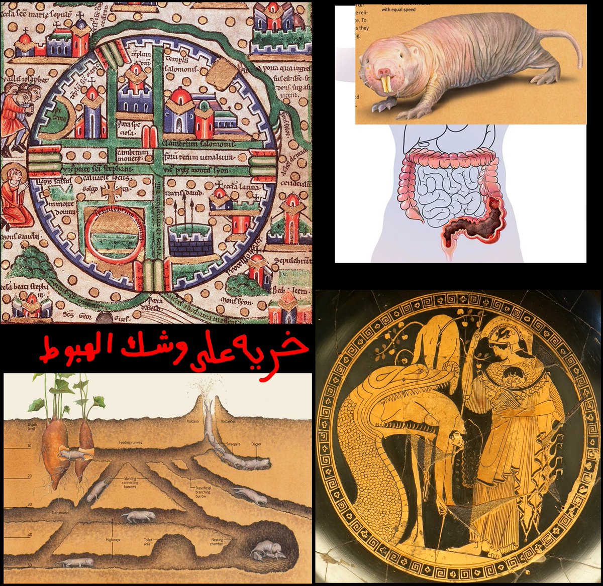 مَرْيَمُ بِنْتُ عِمْرَانَ🕋 tweet media