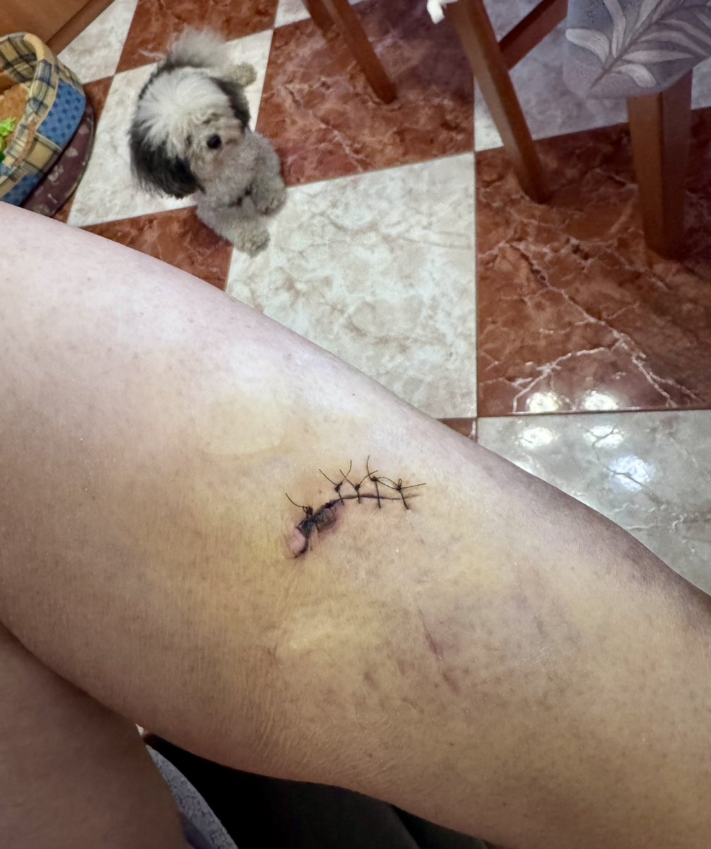 Circill ||*|| MÒ tweet media