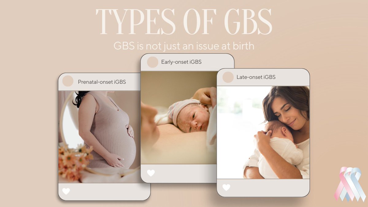 GBS International tweet media