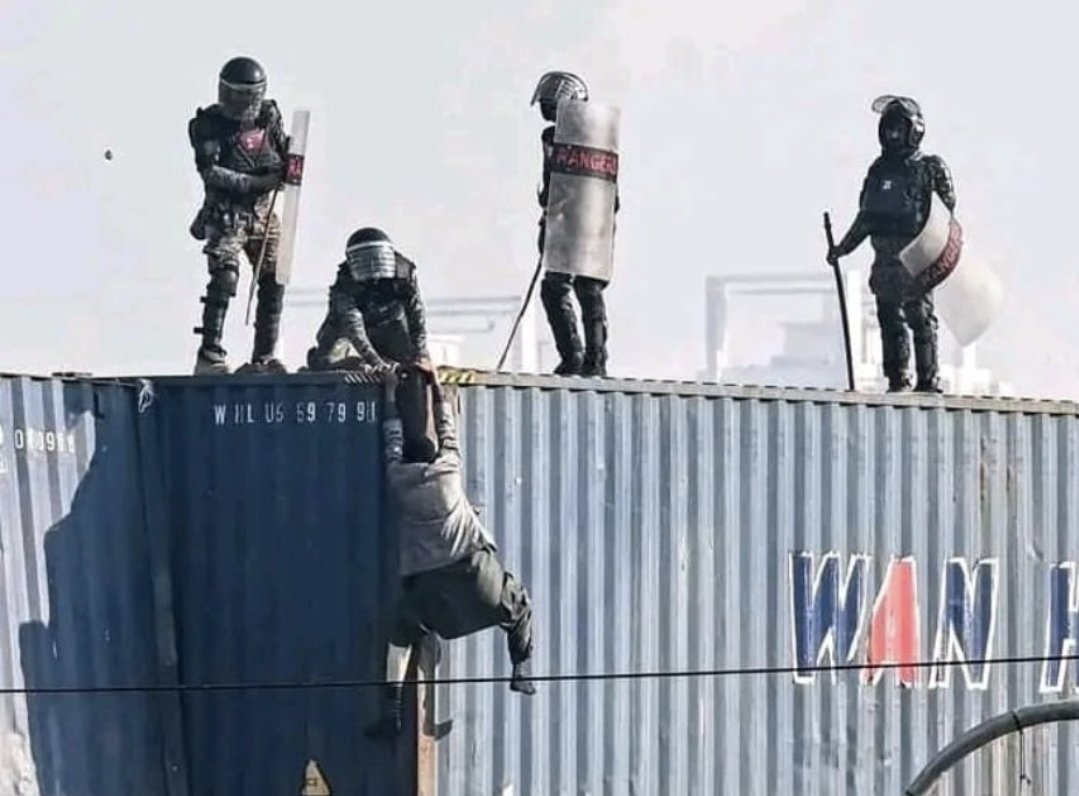 Cappuccino. tweet media