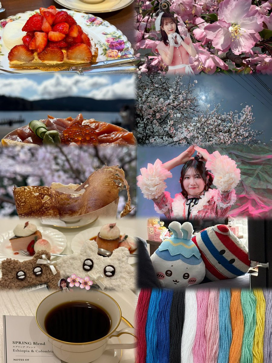 まどり tweet media