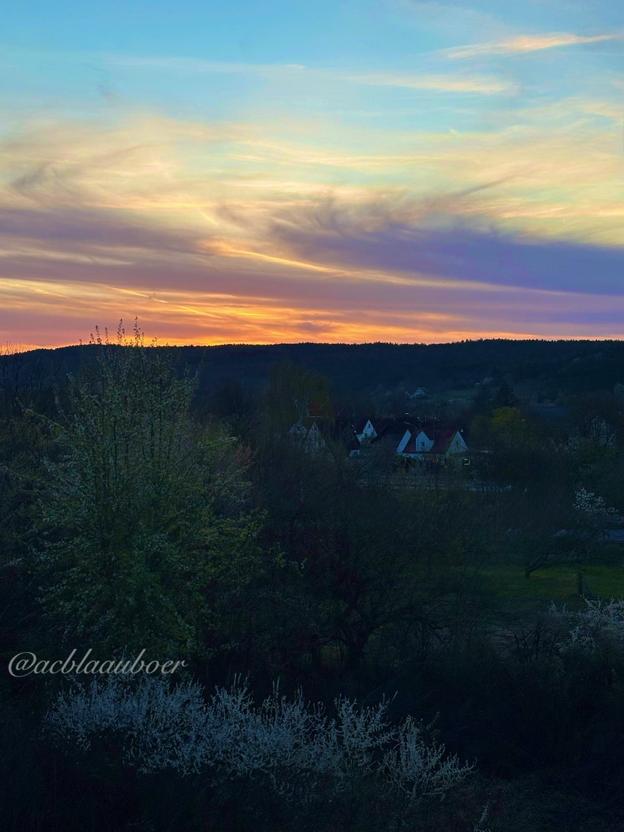 Nemophilist✨🌿🌲 tweet media