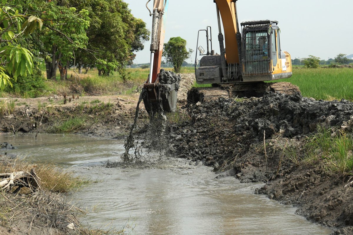 CarlosGSerranoB's tweet photo. En Samborondón, recinto San Gil, realizamos la limpieza y desazolve del canal San Gil (1.800 m), que desemboca en el río Babahoyo.

Esta intervención beneficia a los sectores 1 y 2: 100 familias, 400 habitantes y 200 agricultores que cultivan arroz en 800 hectáreas, mejorando el drenaje y protegiendo su producción.

#GuayasHace