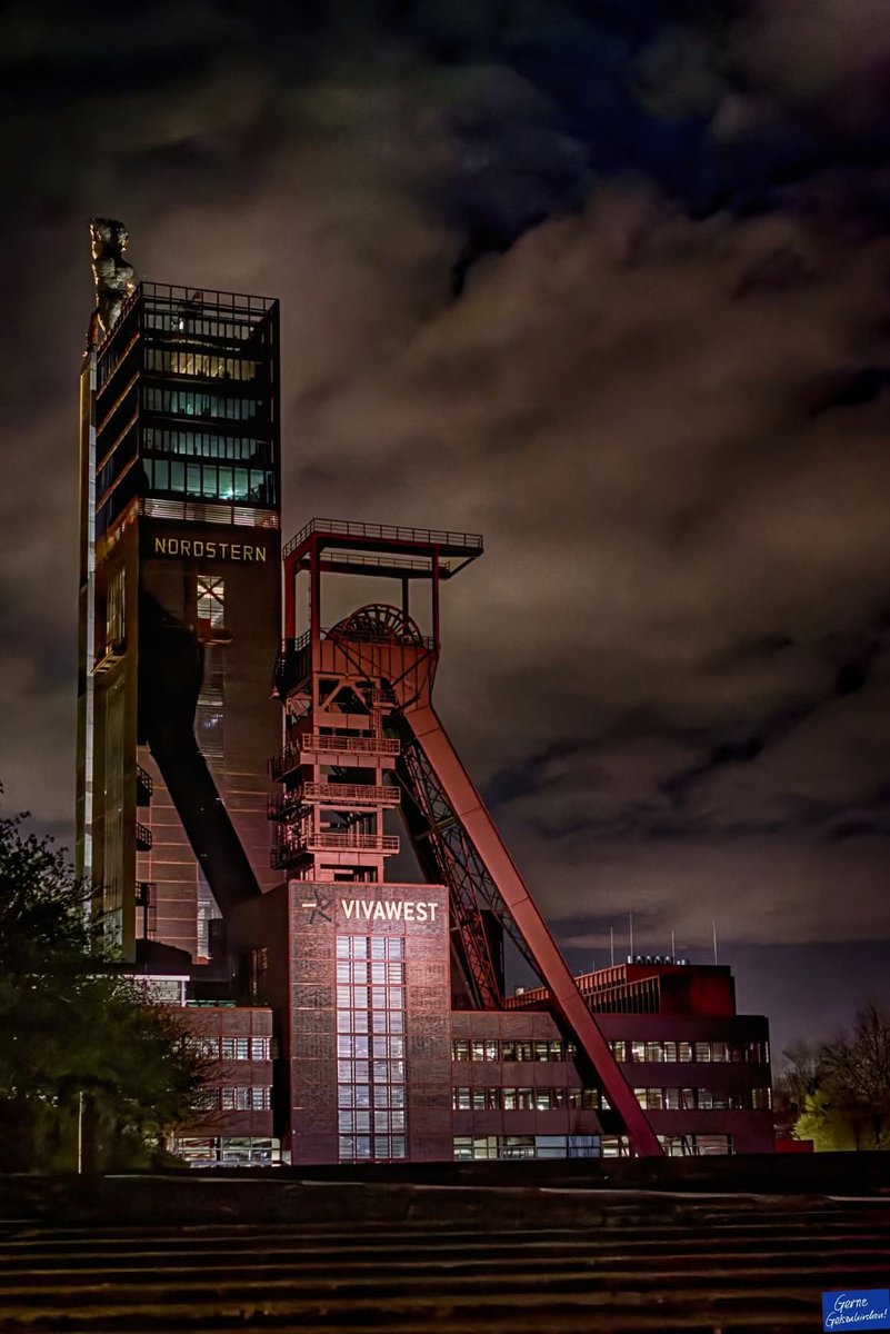 Gerne Gelsenkirchen tweet media