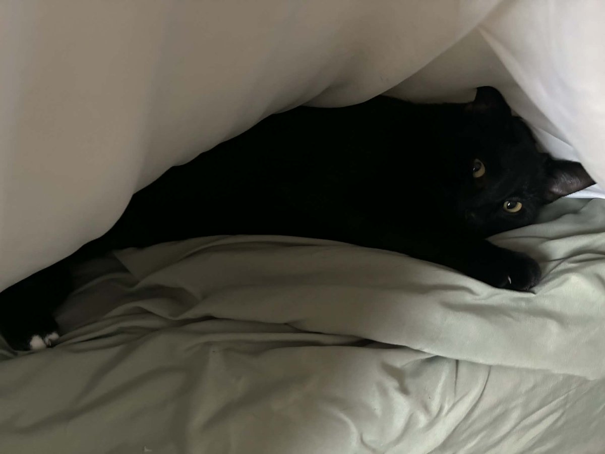 Laura DeLuca tweet media