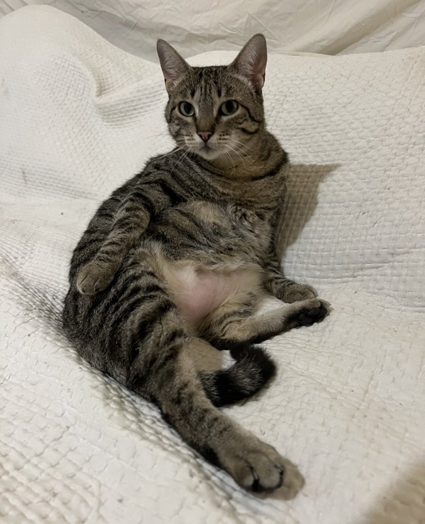 Glainá Boucinha • 👛 tweet media