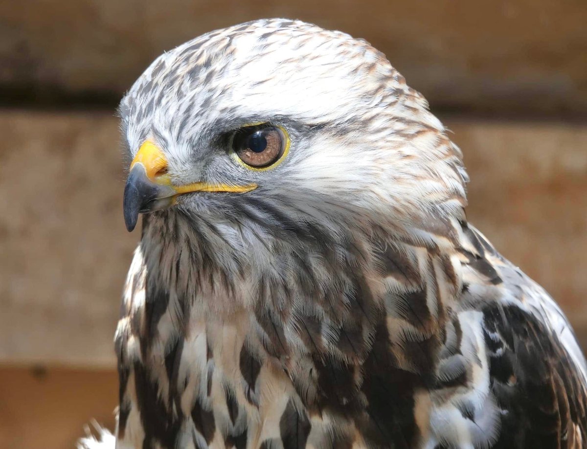 Ohio State Parks & Watercraft tweet media