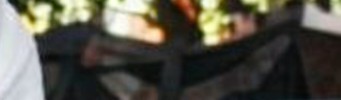 WhatIsWithThesePants tweet media