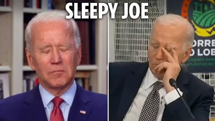 Vox Mantis tweet media