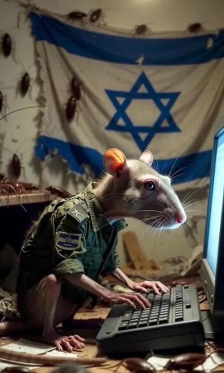 RobinUwU tweet media