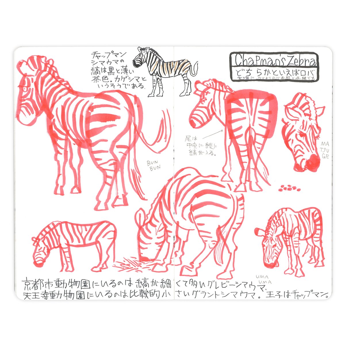 タケウマ tweet media