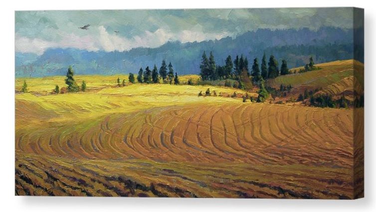 SHendersonArt's tweet image. I saw those clouds and thought, "Storm on its way." Well, maybe. Storms do change their mind.

Pine Grove canvas print -- Link to purchase is in the replies.

#weather #nature #landscape