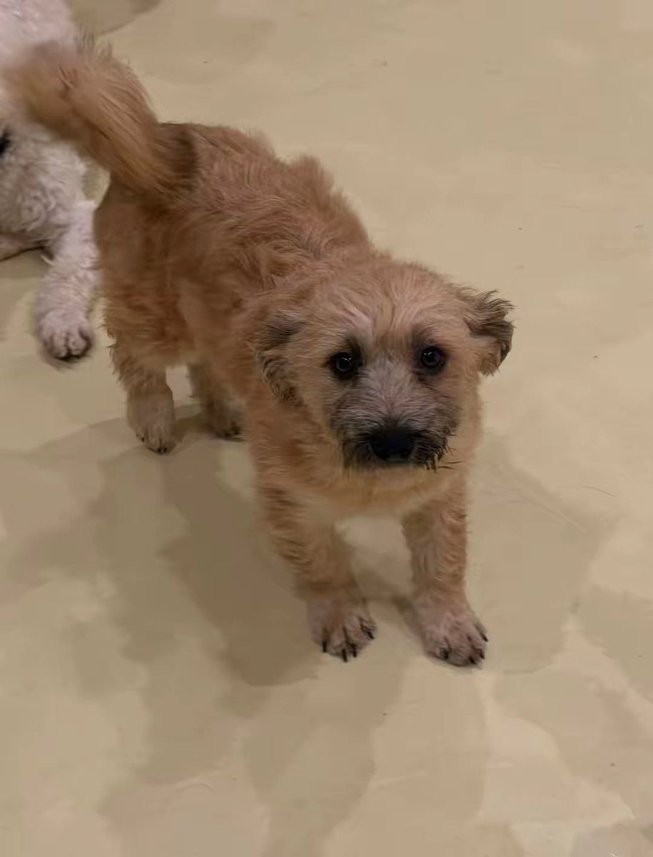 جوهره.ف.م.ت 🇸🇦💚🌴 tweet media