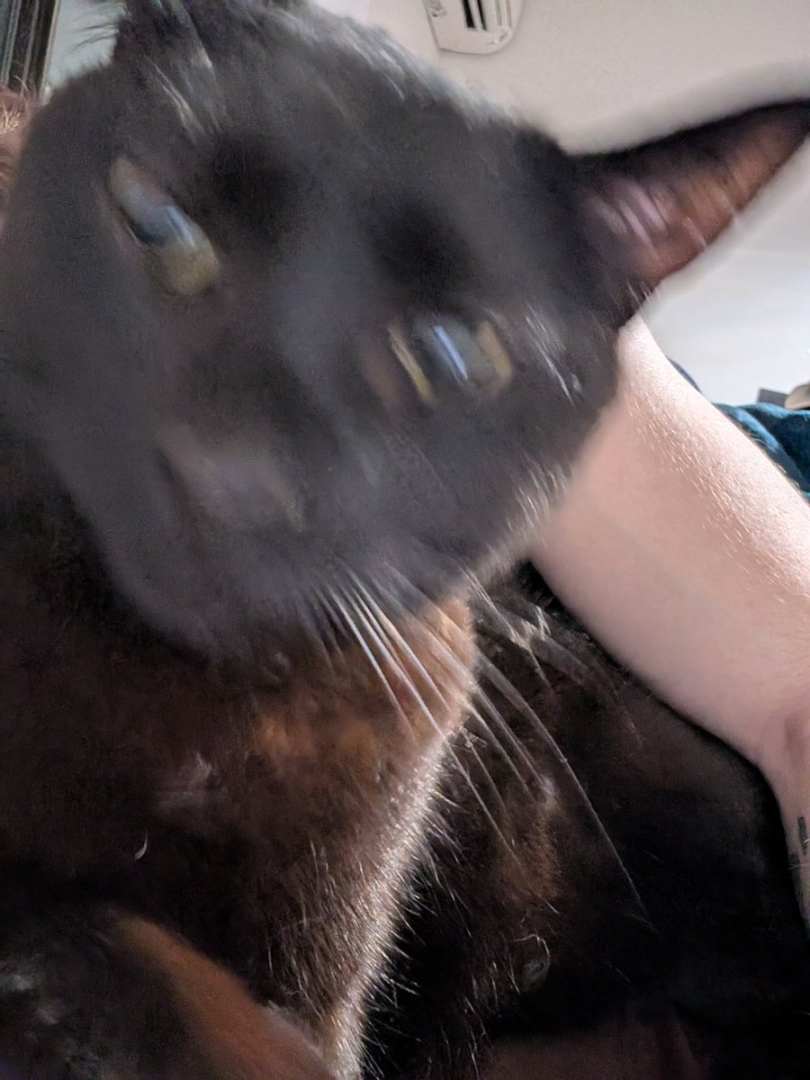 harry ᥫ᭡ tweet media