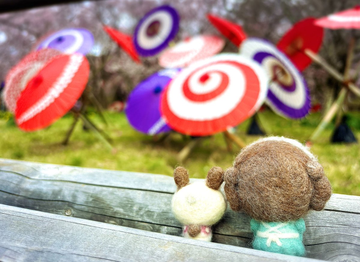 櫻井ひろ*@メイド博C22🐰🌸 tweet media