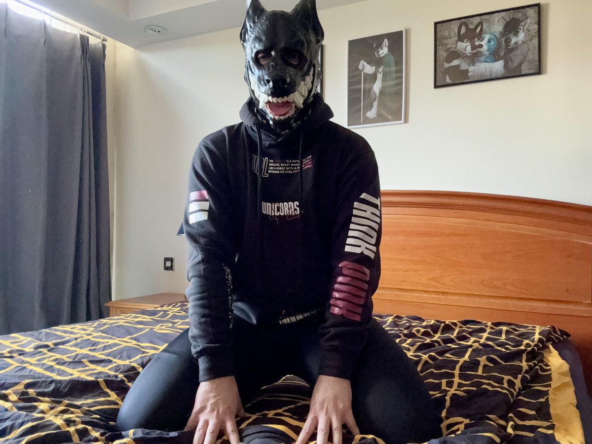 GreyestOfEmAll's tweet image. Ready to serve 🐾