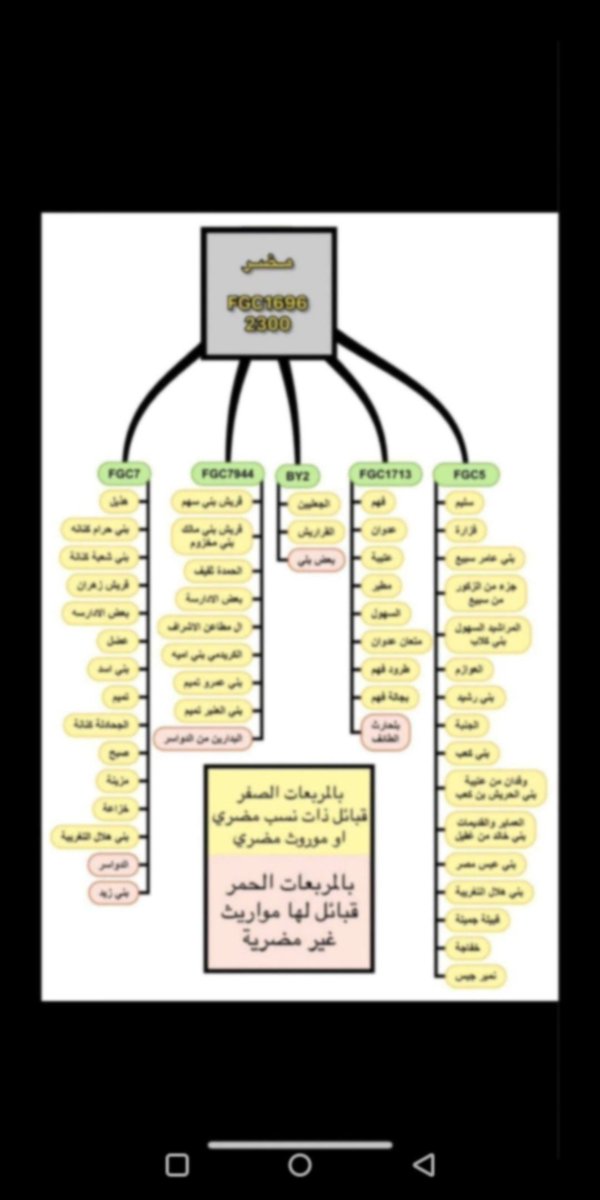 نعرف الشي هذا ونعرف أنهم من القبائل القيسية المضرية العدنانية ويلتقون مع كل القبائل العدنانية والقحطانية