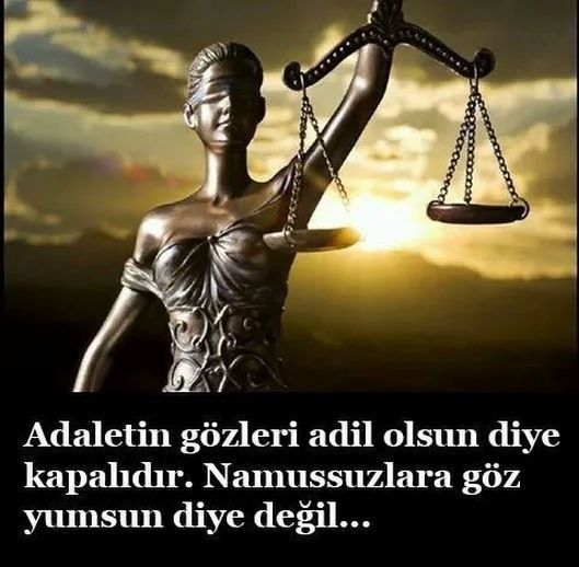 NewBahar🇸🇪 tweet media