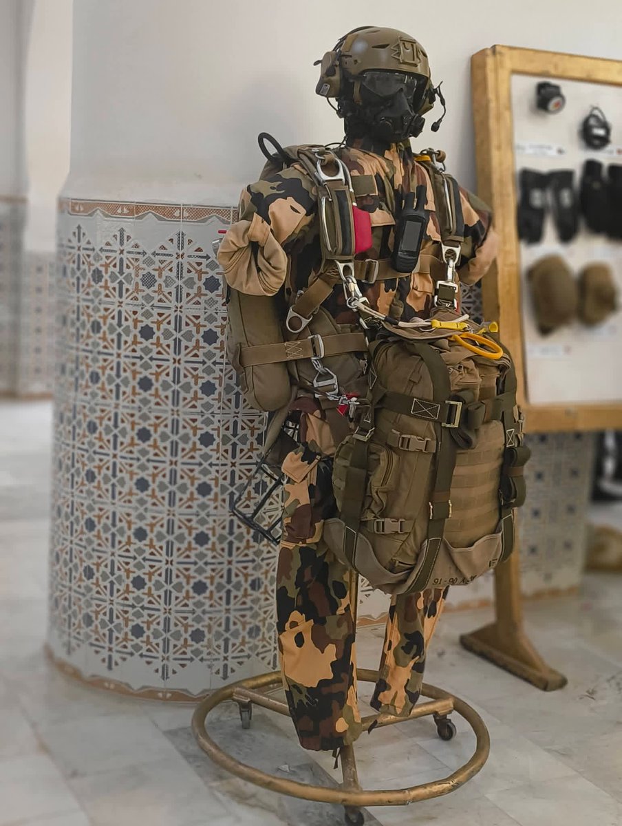 FAERES.DZ tweet media